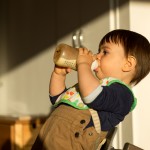 Un petit biberon du matin dans le soleil.